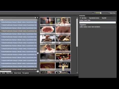 Video File Management in Fast Video Cataloger 3.5