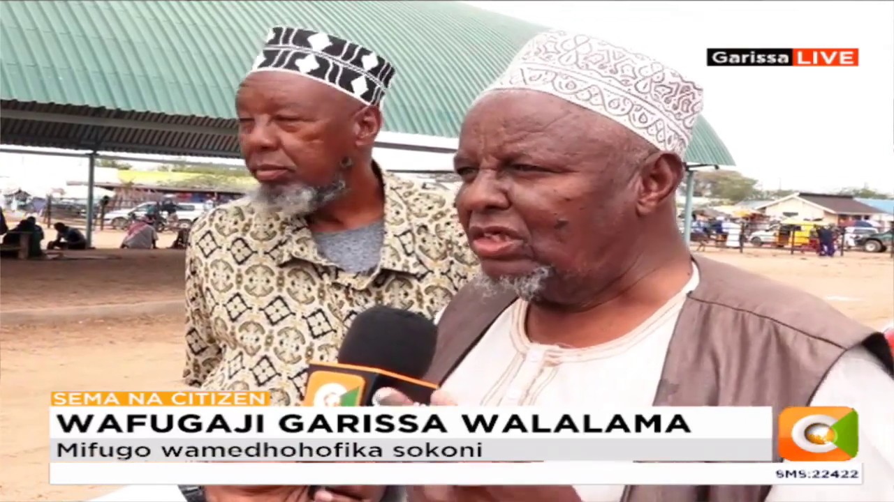 citizen tv live stream kenya Wafugaji wa ng'ombe Garissa walalamika makali ya njaa