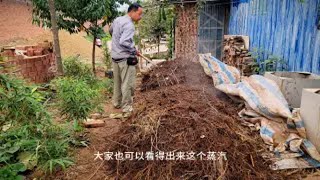 热气腾腾的高温堆肥，将农村的杂草变成有机肥，种植蔬菜再好不过