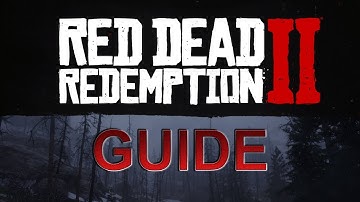 How to Enable GPS Route Red Dead Redemption 2