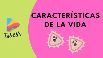 ¿Cuáles son las 7 características de la vida?