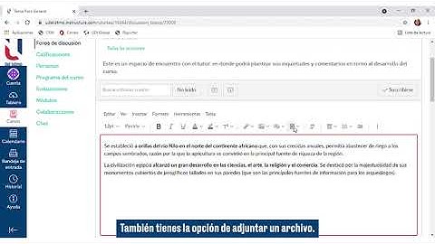 ¿Cómo participar en los foros de Canvas?
