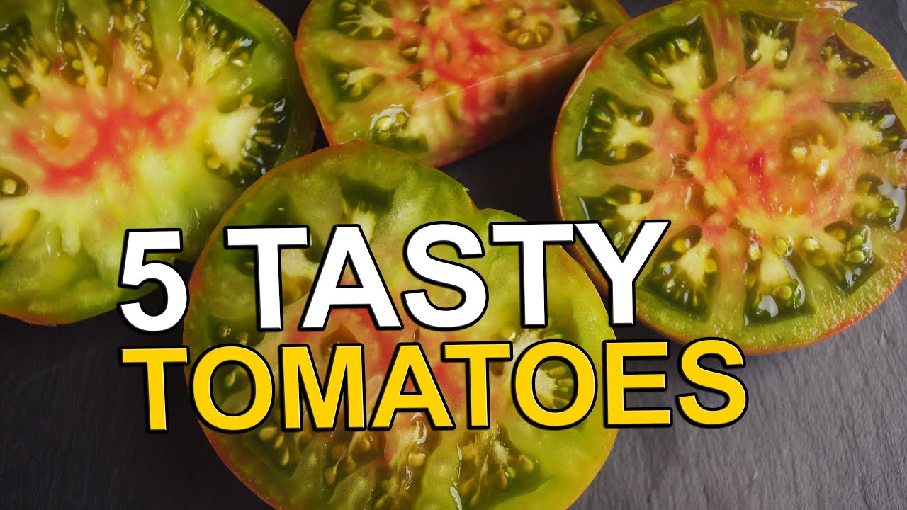 5 TOMATO VARIETIES THAT PLEASED ME A LOT!
