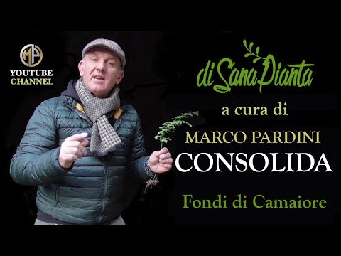 Video: Consolida Maggiore Medicinale - Proprietà Utili, Applicazione