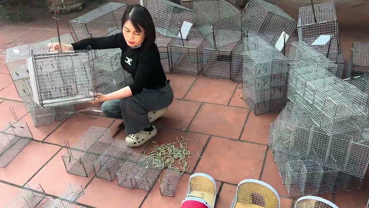 🐈🐈LỒNG MÈO, CHỒN, CÁO KHÚNG THÉP CHẮC CHẮN LHOONG LO MÈO MÈO XỔNG🐰🐈🐈