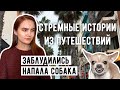 СТРЕМНЫЕ ИСТОРИИ ИЗ ПУТЕШЕСТВИЙ | Страшные и смешные | Напала собака | Мальта