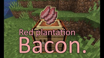 Bacon. || Red Plantation Datapack || 1.14