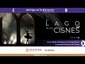 El Lago de los Cisnes en la Isleta del Bosque de Chapultepec / Compañía Nacional de Danza / México