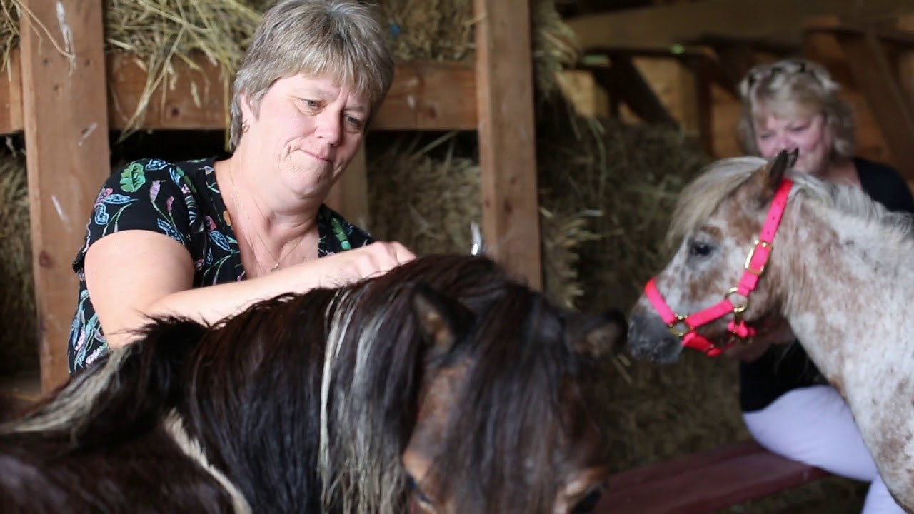 18FLVC05071 Mountain Horse Farm 3 YouTube