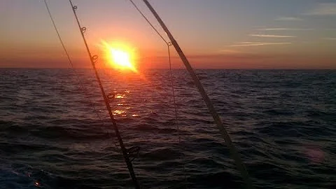 When The Big Tuna Gets Away