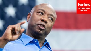 'My Life Disproves The Lies Of The Radical Left': Tim Scott Explains Why He's A Unique Candidate
