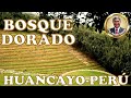 #huancayo. &quot;El Bosque Dorado&quot; lugar turístico en Huancayo-Perú.