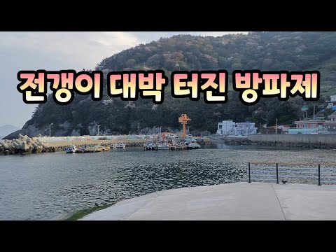 새로운 채비로 전갱이 타작했습니다 / 물반 고기반