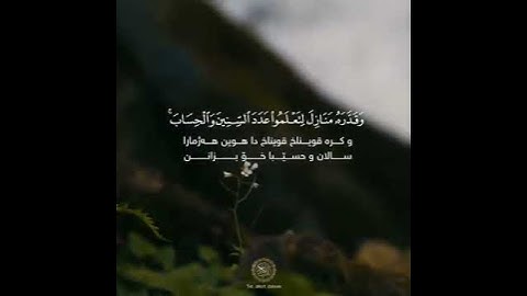 هُوَ الَّذِي جَعَلَ الشَّمْسَ ضِيَاء وَالْقَمَرَ نُورًا (سورة يونس الآية 5)