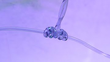 How to tie Dropper Loop Fishing Knot