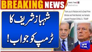 PM Shehbaz Sharif Responds to Donald Trump | US Iran Peace Talks | Dunya News