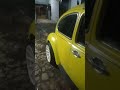 sikuning baru datang dari luar