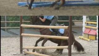 lamotte2006