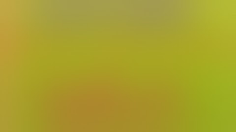 history class 11 new syllabus 2nd semester..#history2024