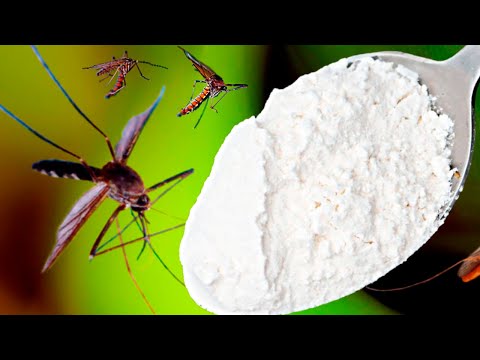 Комары исчезают сразу за 1 минуту навсегда! Лучший бесплатный органический рецепт!