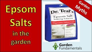 Epsom Salt Myths  learn the truth about using it in the garden [new research]