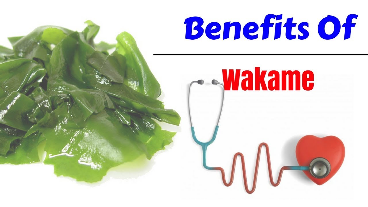 IMPRESSIVE BENEFITS OF WAKAME YouTube