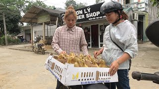 Single mother off-grid farm - Build farm large number of duck and livestock farming by Dao Farm Life 2,848 views 2 weeks ago 34 minutes