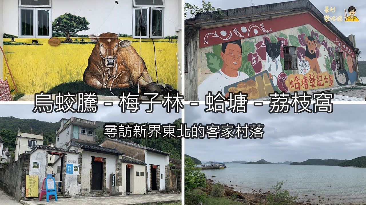 ( 香港郊遊 ) 烏蛟騰 - 梅子林 - 蛤塘 - 荔枝窩 | 新界東北 客家村落 | Mui Tsz Lam | Kop Tong ...