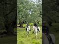 4 de 9. Lo de fuera #horseriding #boulders #valledelambroz #sierradegredos #ecotourism