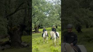 4 de 9. Lo de fuera #horseriding #boulders #valledelambroz #sierradegredos #ecotourism