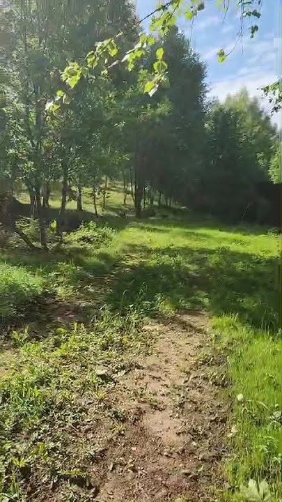 youtube.com