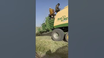 Krone 1290 Baler in Action | High-Density Baling of Rhodes Grass #agriculturefarming #farmingtools