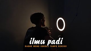 Raono Wong Sukses Tanpo Rekoso Viral Tiktok ( ILMU PADI - Didik Budi Ft Sadewok ) Cover By Amrii Aja