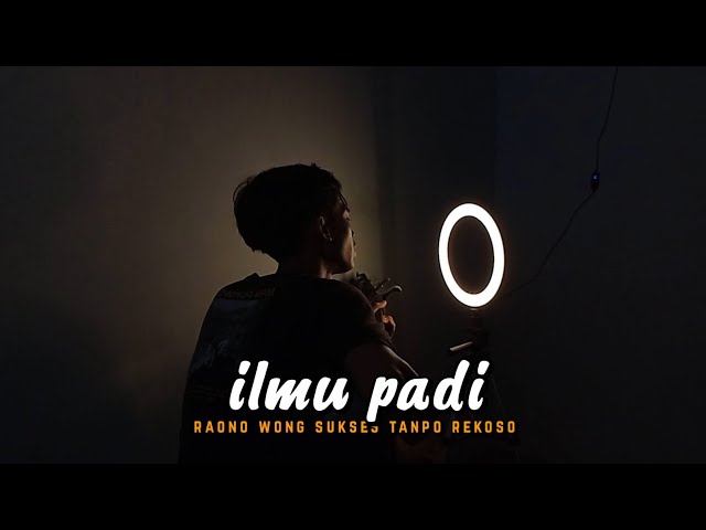 Raono Wong Sukses Tanpo Rekoso Viral Tiktok ( ILMU PADI - Didik Budi Ft Sadewok ) Cover By Amrii Aja class=