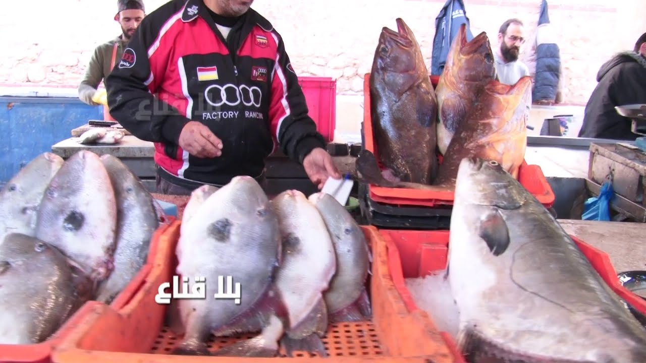 !!الحوت بنصف الثمن أرخص من الدجاج ولحم العلوش..الزوالي في صفاقس يشري ثلاثة كلغ حوت ويروح فرحان وشايخ