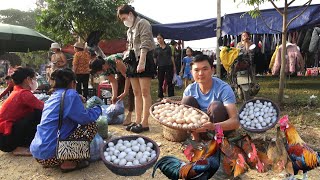 Selling wild chickens and eggs. Robert | Green forest life