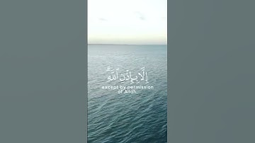 قرآن كريم | ما أصاب من مصيبة إلا بإذن الله