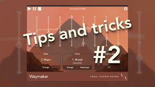 Tips and Tricks: Chopping melodies with Branch sequencers