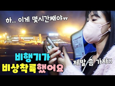 겨우 이륙한 비행기가 1시간만에 비상착륙 했습니다ㅜ 이건 또 무슨 일이야?! 가족 일상 브이로그 vlogㅣ토깽이네