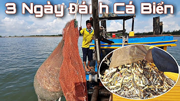 FULL 3 NGÀY ĐÁNH BẮT CÁ TRÚNG MÙA CỦA NGƯ DÂN MIỀN TÂY