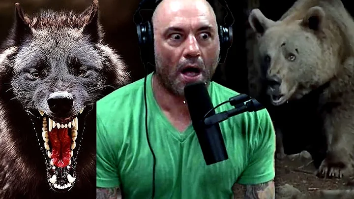40 Craziest Animal Stories Ever Told on the Joe Rogan Podcast