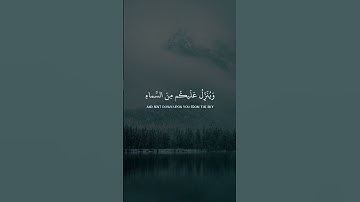 يغشيكم الناس أمنة منه | سورة الأنفال | عبدالرحمن مسعد