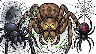 Every Dangerous SPIDER Explained in 9 Minutes