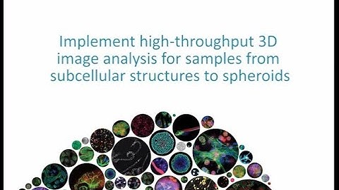 Implement high-throughput 3D image analysis from subcellular structures to spheroids