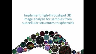 Implement high-throughput 3D image analysis from subcellular structures to spheroids screenshot 2