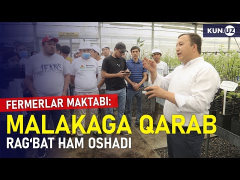 Video: Fermerlar gibberellinlardan qanday foydalanishadi?