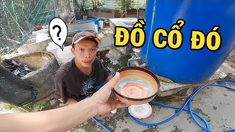 Ông chủ trại cá Betta mê đồ cổ và cái kết quá đắng khi gặp thanh niên này