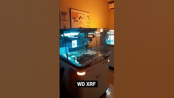 WD XRF