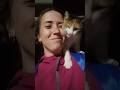 Малышка) #конюшня #кошка #кот #малышка
