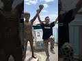 ちょっちゅねー